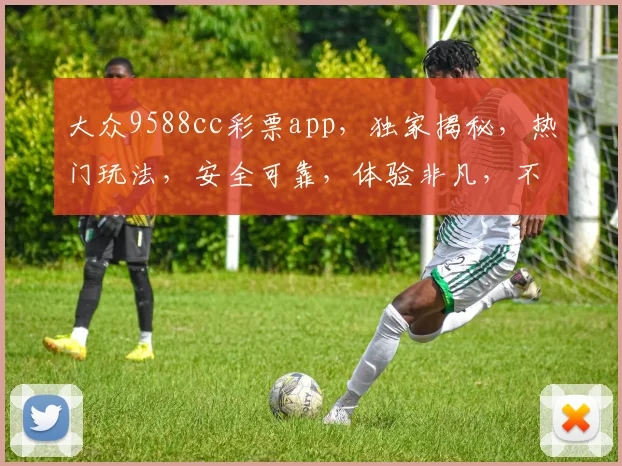 大众9588cc彩票app,独家揭秘,热门玩法,安全可靠,体验非凡,不容错过